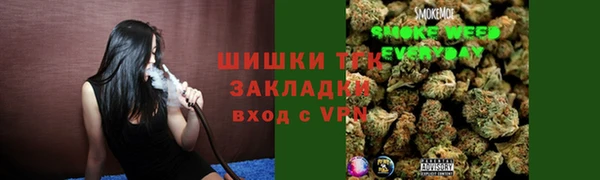 СК Алзамай
